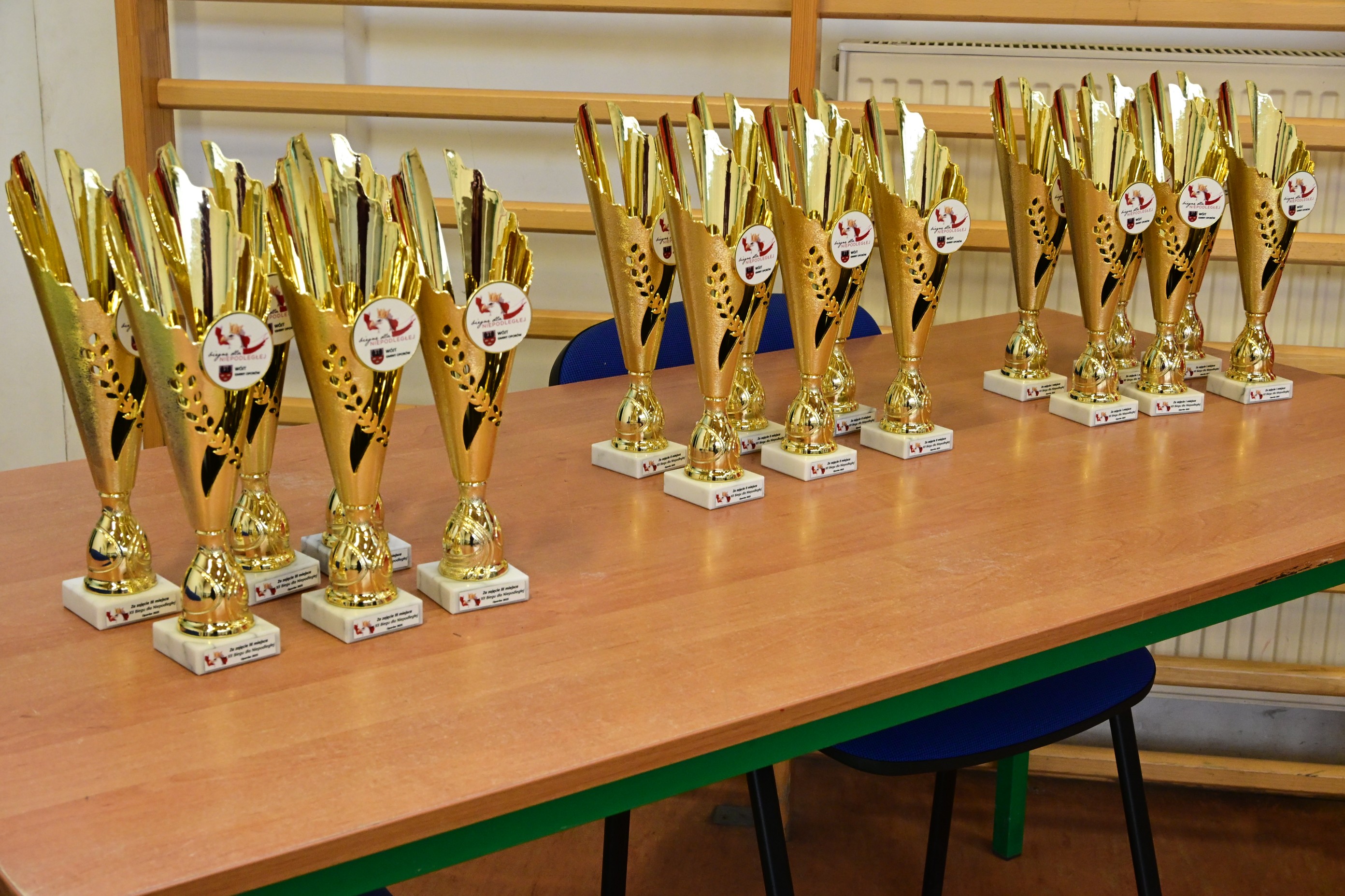 bieg-niepodleglosci-o-puchar-wojta-gminy-oporow