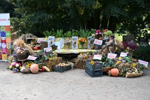 Dożynki Gminno-Parafialne 2025