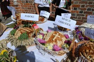 Dożynki Gminno-Parafialne 2025